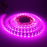 Bande lumineuse à rayures Led Rgb, étanche ou non étanche, Ip20 Ip65 Smd5050, 14.4W, 12V, Dc, couleur de rêve