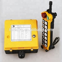 Télécommande sans fil à 14 boutons, simple vitesse, portée de 100 m, piles AAA, certifiée CE/FCC pour grue