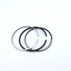 Cơ khí Bộ phận động cơ 4tne94 4TNV94 4tnv94l 4d94e 4d94le động cơ tái thiết Kit DIESEL Piston Ring 1299006-22050 - Product Image 2