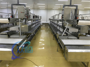 Cinta transportadora de procesamiento de peces, línea de producción de pescado, descalado de peces, skulne - Product Image 3