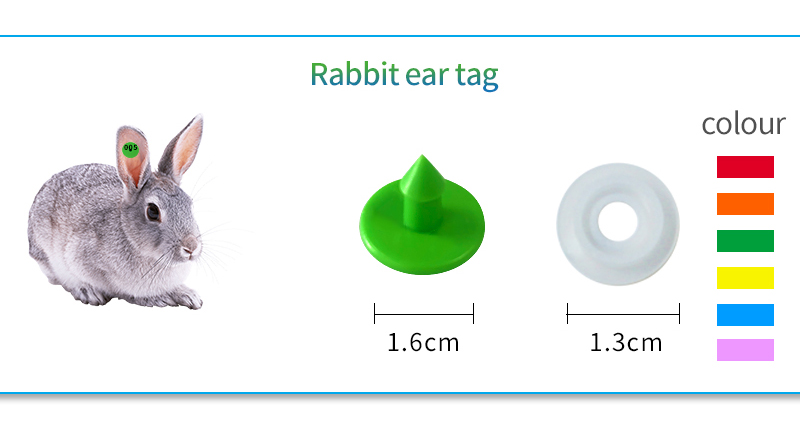 animal pig sheep cattle cow ear earing tags