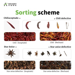 Dễ dàng-to-hoạt động vỏ hạt và hạt nhân SORTER hồng ngoại tách hạt nhân và vỏ - Product Image 3