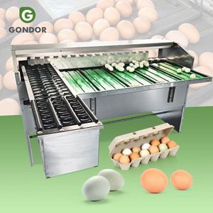 Máquina clasificadora de huevos electrónica de sobremesa, con función de lavado, secado y clasificación, con impresora - Product Image 1