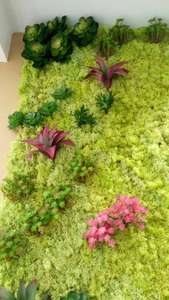 منازل وحدائق-لوحات جدارية, لوحات جدارية خضراء للاستخدام الداخلي مختلفة الاستخدامات بسعر الجملة ، أعشاب الطحالب ، ديكور للمنزل ، حائط من مادة الجريوفيتي - Product Image 5