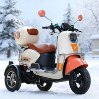 Tricycle à essence rose et blanc tendance pour le transport transfrontalier, idéal pour les trajets quotidiens des femmes, tricycle résidentiel, moto