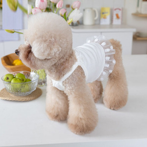 Confortável Polka <span class=keywords><strong>Dot</strong></span> Primavera Verão Dog <span class=keywords><strong>Pet</strong></span> Cool Slip Saia Vestido