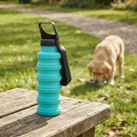 Bouteille d'eau pliable moderne de 500 ml, réutilisable, sans BPA, sans danger pour les aliments, bol de voyage portable en silicone pour chien, pour la randonnée en plein air