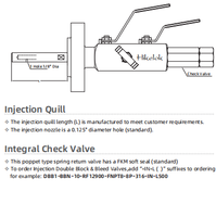 Swagelok Type Injection/Sampling Double Block and Bleed Valves