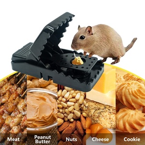 <span class=keywords><strong>Piège</strong></span> <span class=keywords><strong>à</strong></span> <span class=keywords><strong>souris</strong></span> en plastique réutilisable en gros, très demandé sur le marché européen - Product Image 4