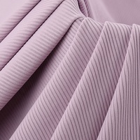 Sofort Lieferbar Atmungsaktiver Leichter Feuchtigkeitsabsorbierender Abriebfester Nylon-Spandex-Stretch Matt-Gewebe 2*2 Elastischer Rippstrick