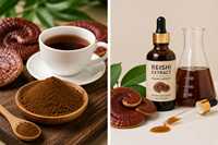 Astrawell, fournisseur en gros d'extrait de champignon Reishi de haute qualité pour les marques de compléments alimentaires