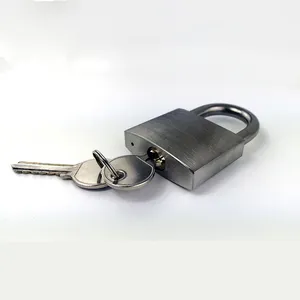 热销新产品高安全性定制钢制挂锁带钥匙防盗挂锁适用于储物柜