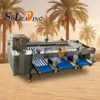 Industriële automatische machine voor het verwerken van dadels, inclusief wasmachine en sorteermachine voor het wegen en sorteren van Medjool dadels.