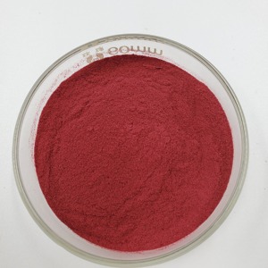Suministro de fábrica 100% Polvo de bayas Blushwood orgánico natural Polvo de bayas Blushwood Liofilizado - Product Image 1