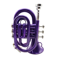 Bb Pocket Trumpet Gold Lacquered Beginner-Friendly Professional Grade Durable High-Quality Brass Instrument