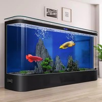 Aquarium Moderne de Luxe en Verre pour Salon, avec Filtre Intégré et Design Écologique