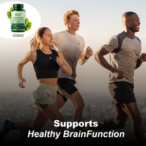 גינקו בילובה 120 מ\\\"ג + קפסולות קומפלקס B 60 יחידות בסיטונאות |   תוסף תזונה לתמיכה במוח, זיכרון ודם - Product Image 6