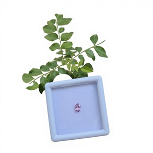 Espinela Rosa Natural, Corte Ovalado, Facetada, con Iridisencia, Origen Mahenge - Product Image 1