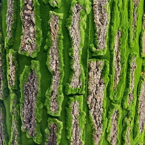 Mur d'écorce de mousse synthétique d'écorce de chêne simuler l'écorce d'arbre avec de la mousse - Product Image 6