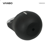 Kettlebell de musculation de haute qualité Vanbo VB6003 avec logo personnalisé, en fer + CPU, 10-30 kg, pour entraînement de force commercial
