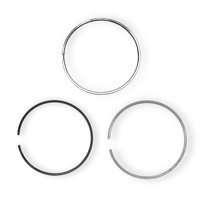 Anillo de pistón TP para Maz Da UB1500 NA B6/B62A B2000 1. 1 FS/FSD/FPD F8 2.0L R2 RFY0 LFX piezas de motor de coche STD + 050