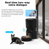 2025 nouveau 4L Smart WIFI à distance mangeoire pour chien automatique micropuce mangeoire pour animaux de compagnie avec caméra vidéo et bol en acier article de distribution d'eau