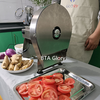 Loongyi Elektrisch Fruit Vlees Aardappel Biltong Tomaat Spek Wortel Ananas Snijmachine