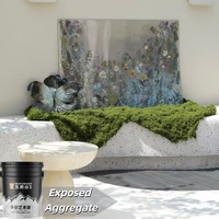 Revêtement liquide époxy à base d'eau écologique Wufushan pour sols, galets colorés, pierres lavées, pavés de patio, gravier pour usage extérieur