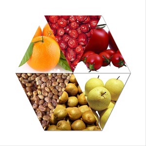 Nouvelle conception de trieuse de pommes et de pommes de terre à économie d'énergie, fournisseur de trieuses d'oignons - Product Image 2