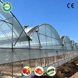 Serra Commerciale Multiuso in Film Plastico da 48ft X 36m <span class=keywords><strong>per</strong></span> Coltivazione di Ortaggi e <span class=keywords><strong>Agricoltura</strong></span> Commerciale - Product Image 4