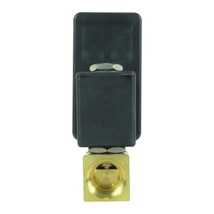 Dkv Messing Elektrische Auto Waterafvoerklep Met Timer 2 Way Elektronische Automatische Waterafvoerklep 24vdc 24vac 220vac 110vac - Product Image 5