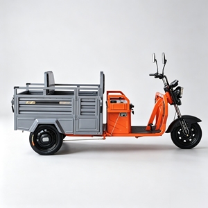 Tricycle électrique écologique standard de l'UE batterie 60V 300kg charge utile e-tricycle polyvalent avec contrôle de descente - Product Image 3