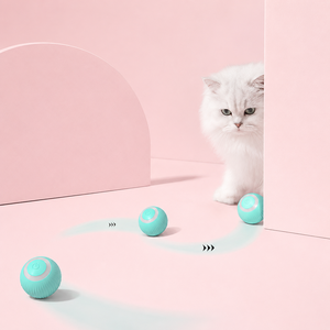 Cute <b>Interactive</b> Training Self-moving ABS & Silicone Catnip <b>Toys</b> for <b>Cats</b> Electric Automatic Rolling Smart Exercise <b>Toy</b> - Product Image 2