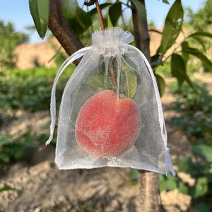 Bolsas de Malla de Nailon al por Mayor <span class=keywords><strong>con</strong></span> Alta Transmisión de Luz, Protección Contra Insectos y Aves, Personalizables para Jardines y Granjas - Product Image 1