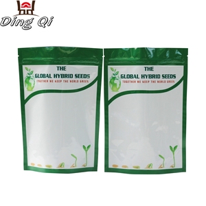 Freezer Zip Pouch Salt Retort Stand up Bag Heat Seal Gravure Printing Promotion Moisture Proof CPP Plastic Ziplock Bag Accept