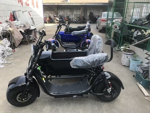 Motocyclette électrique à side-car, tricycle électrique à 3 roues avec side-car cargo pour <span class=keywords><strong>Vespa</strong></span> - Product Image 2