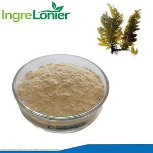 Высококачественная пищевая добавка 85% экстракт водорослей экстракт фукоидана порошок фукоидан коричневые водоросли - Product Image 2