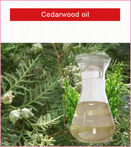 Vente en gros de parfum de forêt sauvage, huile pour bougie de <span class=keywords><strong>sapin</strong></span> et de cèdre, huile parfumée boisée concentrée de qualité pour bougie, aromathérapie - Product Image 6