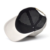 Custom Unisex Hoge Kwaliteit 5-Panel Terry Rubber Logo Performance Sport Pet Waterdicht Laser Cut Hole Geperforeerd Fruit