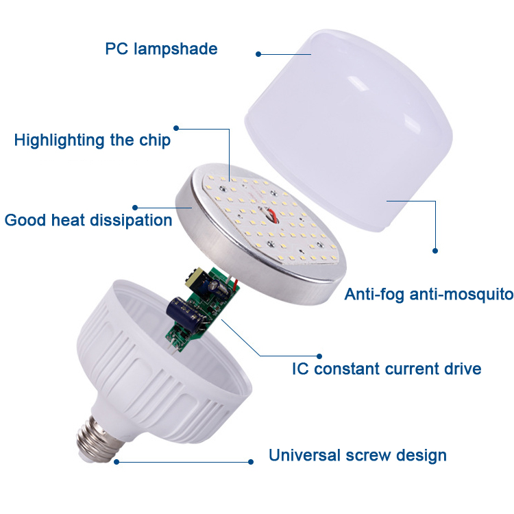 Forwellmax Lighting Dajiang Optoelectronics 12V DC LED Bulb E27 B22 | Wholesale Application Guide