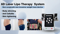 Machine professionnelle de contour de tonification de corps d'OEM 6D Lipo 980nm dispositif médical pour l'expérience indolore de beauté de perte de poids avec le PC