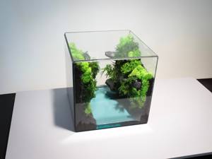 ชุดปลูกต้นไม้ในสวนแก้วมอสแบบสองชั้นวัสดุธรรมชาติจำลองที่ทนทานทำจากเส้นใยมอสที่เก็บรักษาไว้ - Product Image 4