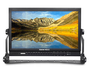 Kit de moniteurs de production de studio sur le terrain FEELWORLD 17,3 pouces P173-9HSD-CO, écran LCD professionnel 1920x1080, design en aluminium - Product Image 1