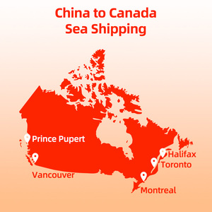Trasporto Marittimo LCL/FCL Porta a Porta, Spedizione FBA Amazon dalla Cina a Canada/UE/Regno Unito/Francia, Servizio di Spedizione, Spedizioniere Marittimo - Product Image 2
