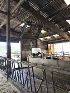 พัดลมระบายอากาศอุตสาหกรรมเชิงพาณิชย์สำหรับฟาร์มโคนม โบนาวินด์ ขนาด 72 นิ้ว พร้อมมอเตอร์ EC พัดลมระบายความร้อน - Product Image 5