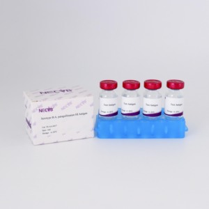 Avibacterium paragallinarum Type <span class=keywords><strong>B</strong></span> HI Test Antigène OIE Standardisé pour la sérologie infectieuse Coryza-Réactif de diagnostic vétérinaire - Product Image 3