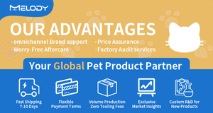 Katlanabilir Hafif Moda Evcil Hayvan Taşıma Çantası Pencereli Portatif Seyahat Kafesi Sağlam Küçük Orta Boy Köpekler Kediler Kalınlaştırılmış PP - Product Image 4