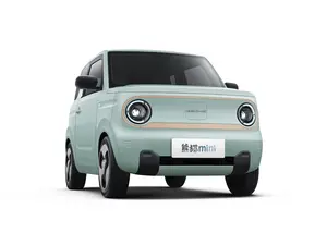 Hot Sale Geely Panda Mini 2024 New Energy Vehicle New Electric Car In Stock Geely Panda Ev Mini Cars For Adult