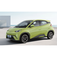 2026 By-d Seagull EV Véhicules à énergie nouvelle de Chine 4 PLACES