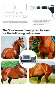 جهاز علاج بالموجات الصدمية البيطرية المزدوجة لتخفيف الألم وإعادة التأهيل للحيوانات، معتمد من الاتحاد الأوروبي من الفئة الثانية - Product Image 5